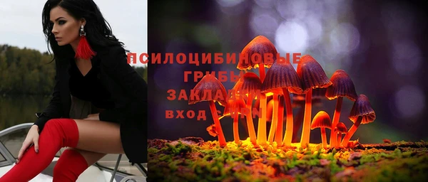 прущий лед Дмитров