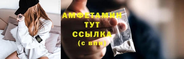 твердый Дмитриев