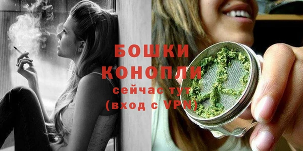 PSILOCYBIN Гусев